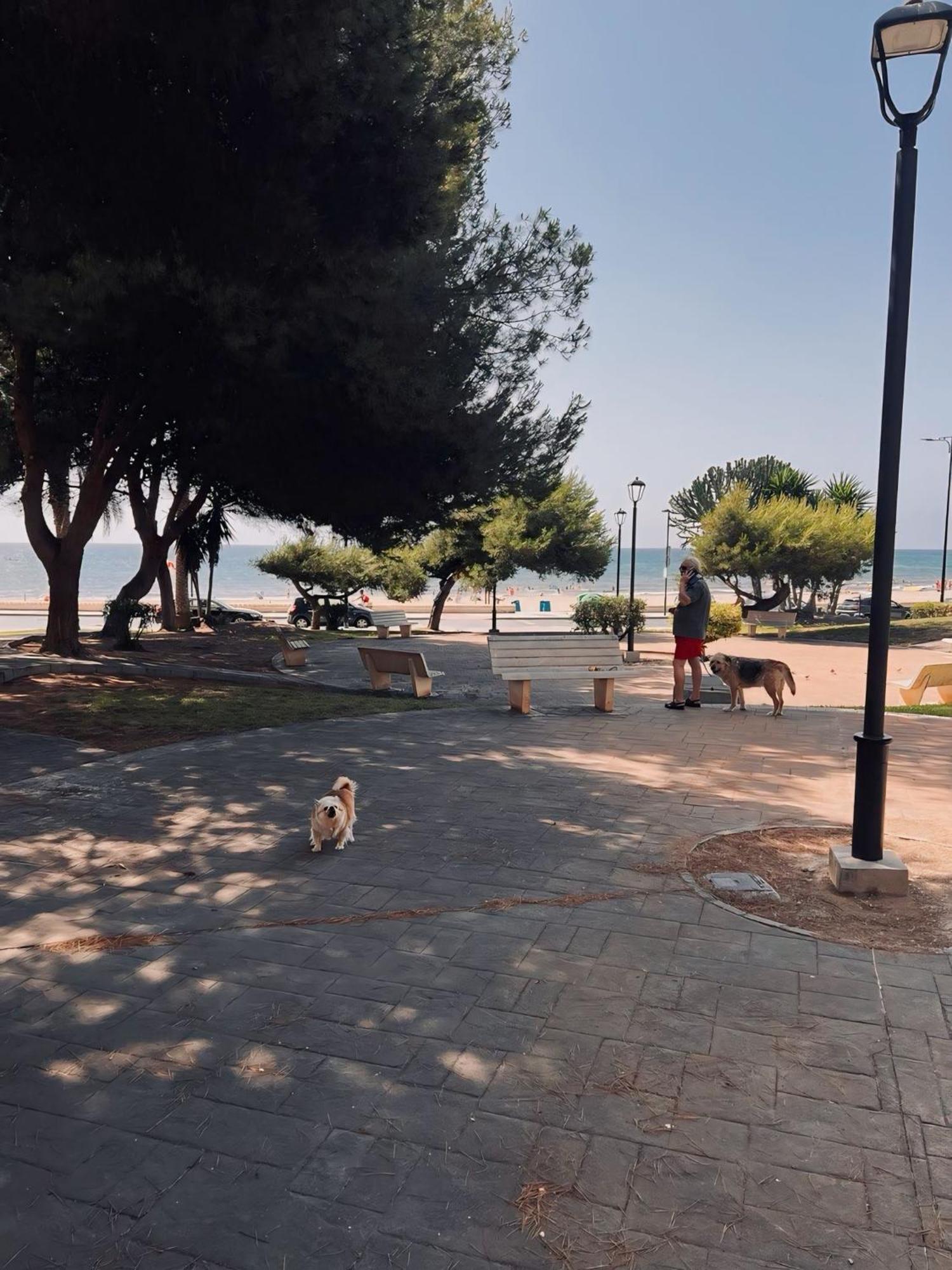50 Pasos Hacia El Mar Apartment El Campello Bagian luar foto